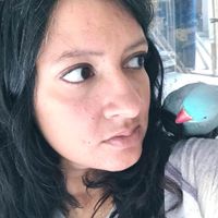 Monika Sangar profile picture