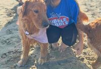 Jacyl Imrie profile picture