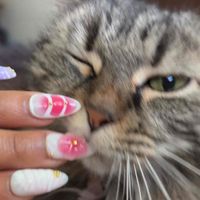 Zoë Gonzalez profile picture