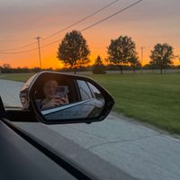 Madelyn O’Brien profile picture