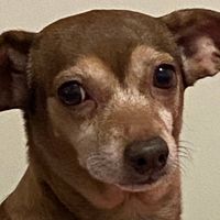 Kayla Lima Castellanos profile picture