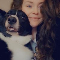 Abagail Tamblin profile picture