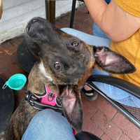 Lexi Faith profile picture