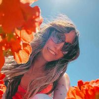 Noel profile picture