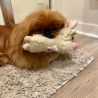 Ashley C profile picture