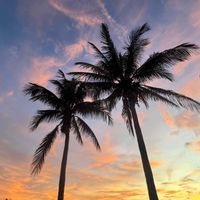 Jamie Lyn profile picture