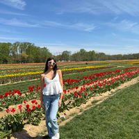 Melanee Font profile picture