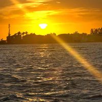 Louise profile picture