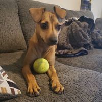 Wrigley Hunt profile picture