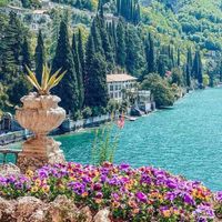 Eftikhar Elsaid profile picture