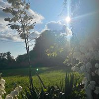 Ashley M profile picture