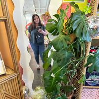 Kaitlyn Hawkins profile picture