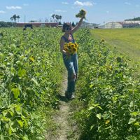 Taylor Katz profile picture