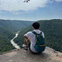 Josh Wang profile picture