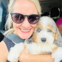 Lori Thorpe profile picture