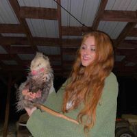 gracegirl profile picture