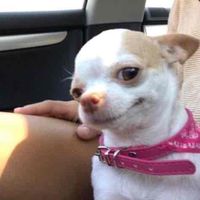 Ariana Garcia profile picture