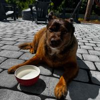 Colleen DeGroot profile picture