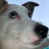 Amanda Paige profile picture