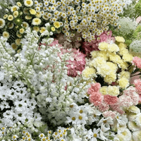 Sarah Pridemore profile picture