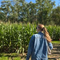 Sarah Clemons profile picture