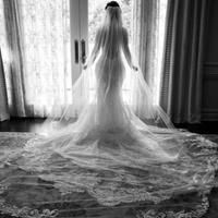 Zina Balazse profile picture