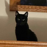 Erin Randles profile picture