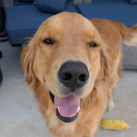 Maverick profile picture