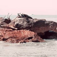 Devan Hoxit profile picture