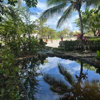 Morgan Brown profile picture