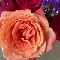 Angie profile picture