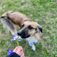 Carly S profile picture