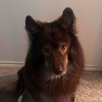 angie cravotta profile picture