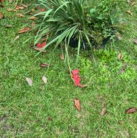 Mara M profile picture