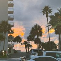 Olivia profile picture