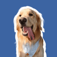 Moose Harkins profile picture