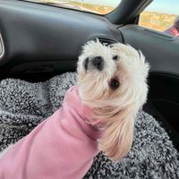 April 💘 profile picture