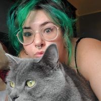Maddie Loftesnes profile picture