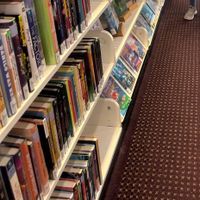 Amy Lee profile picture