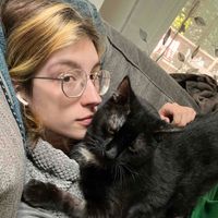 Eli Styles profile picture