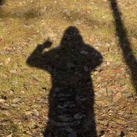 Jaelynn Rose profile picture
