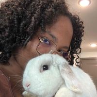 Anna Lu profile picture