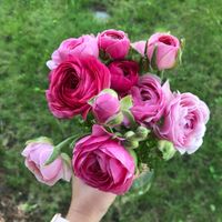 KK Flowers profile picture