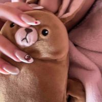 Di Nasir profile picture