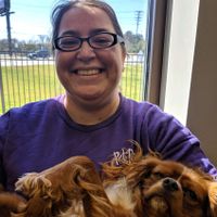 Alaina Evans profile picture