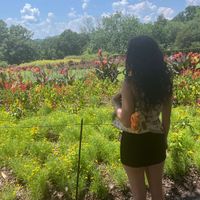 Sara Haston profile picture