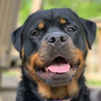 Janel Eicher profile picture