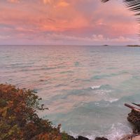 Samantha Adams profile picture