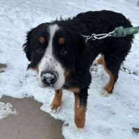 Haven Isabelle profile picture