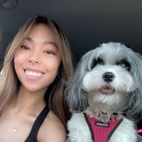 Lindsay profile picture